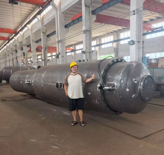 Fuelle compensador de diseño personalizado del fabricante de China